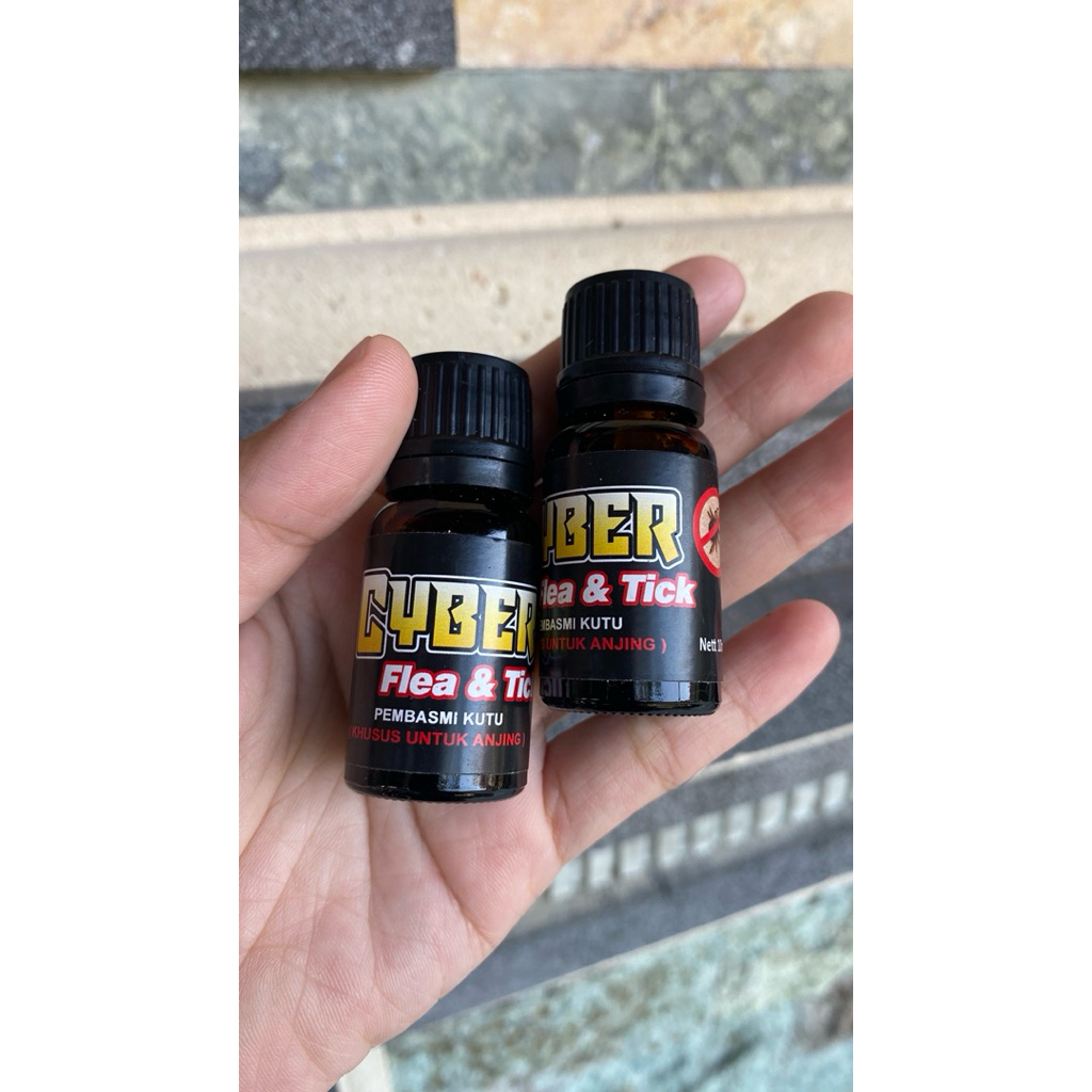 OBAT KUTU ANJING CYBER AMPUH MENGHILANGKAN KUTU ANJING