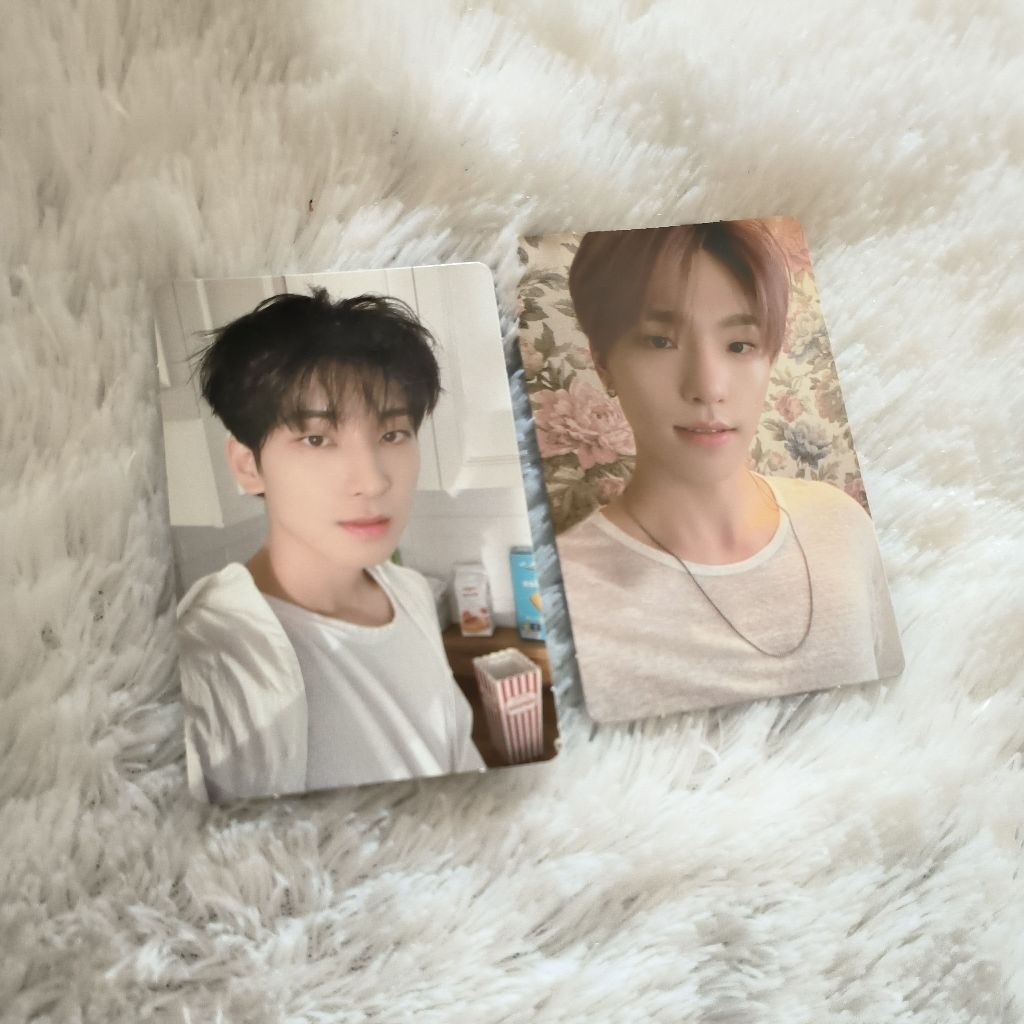 Wonwoo Dino pc Attacca