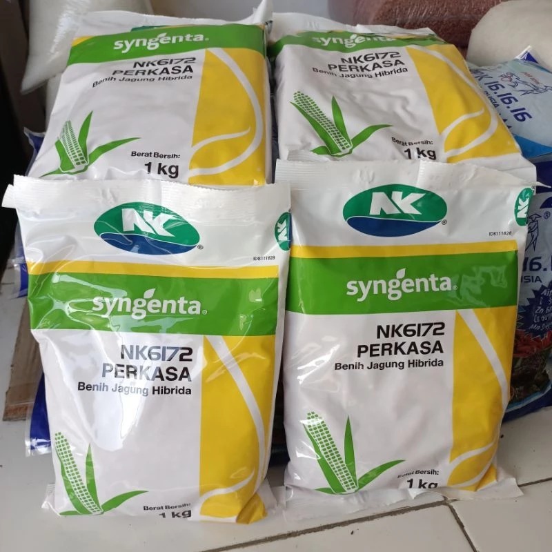 Benih JAGUNG HIBRIDA NK 6172 PERKASA 1KG #bibit jagung#jagung perkasa#bibit nk perkasa