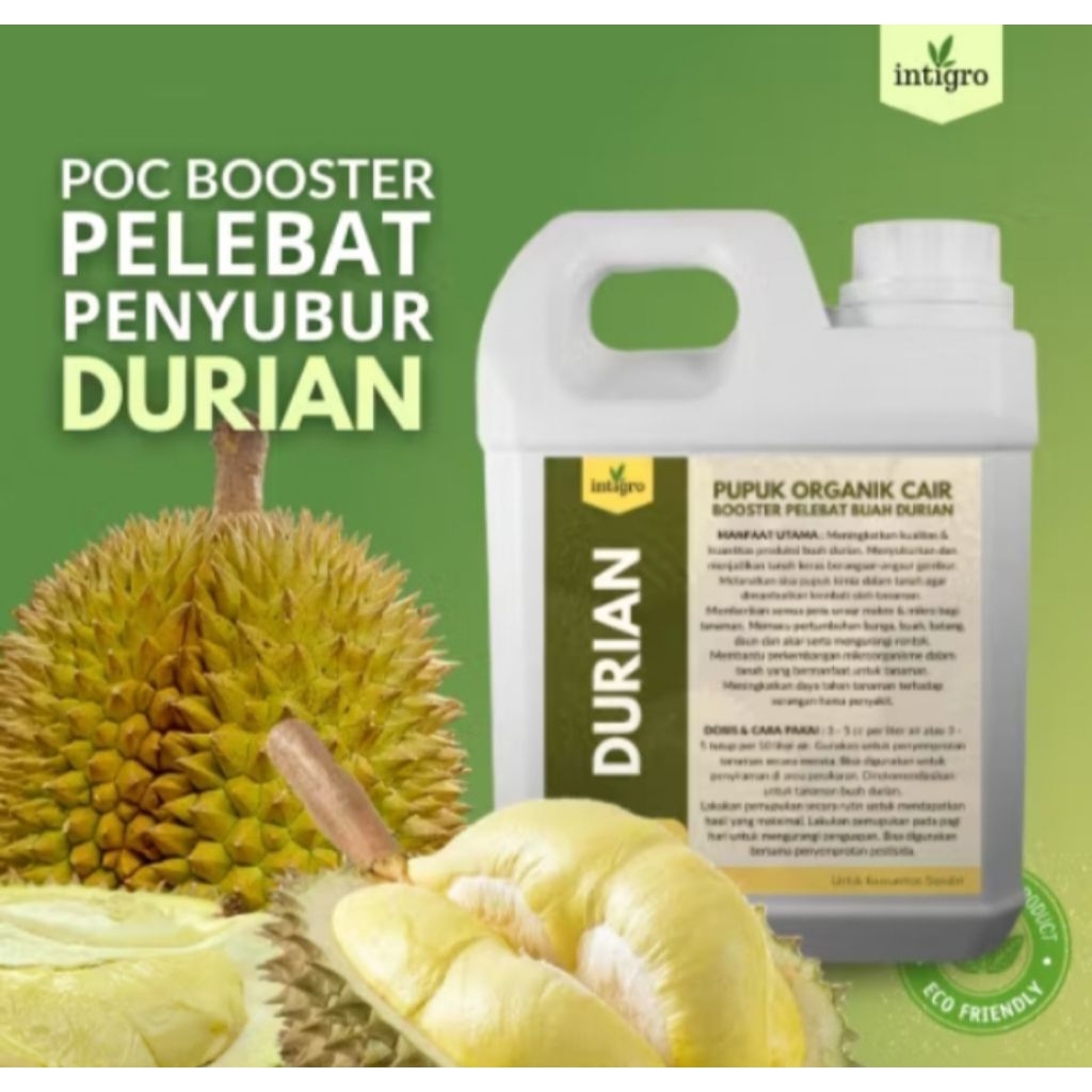 pupuk durian supaya cepat berbuah/pupuk durian supaya subur dan berbuah