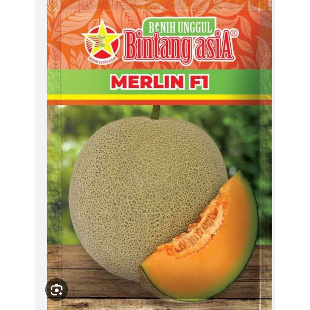 benih rock melon oreange MERLIN F1 20 GRAM