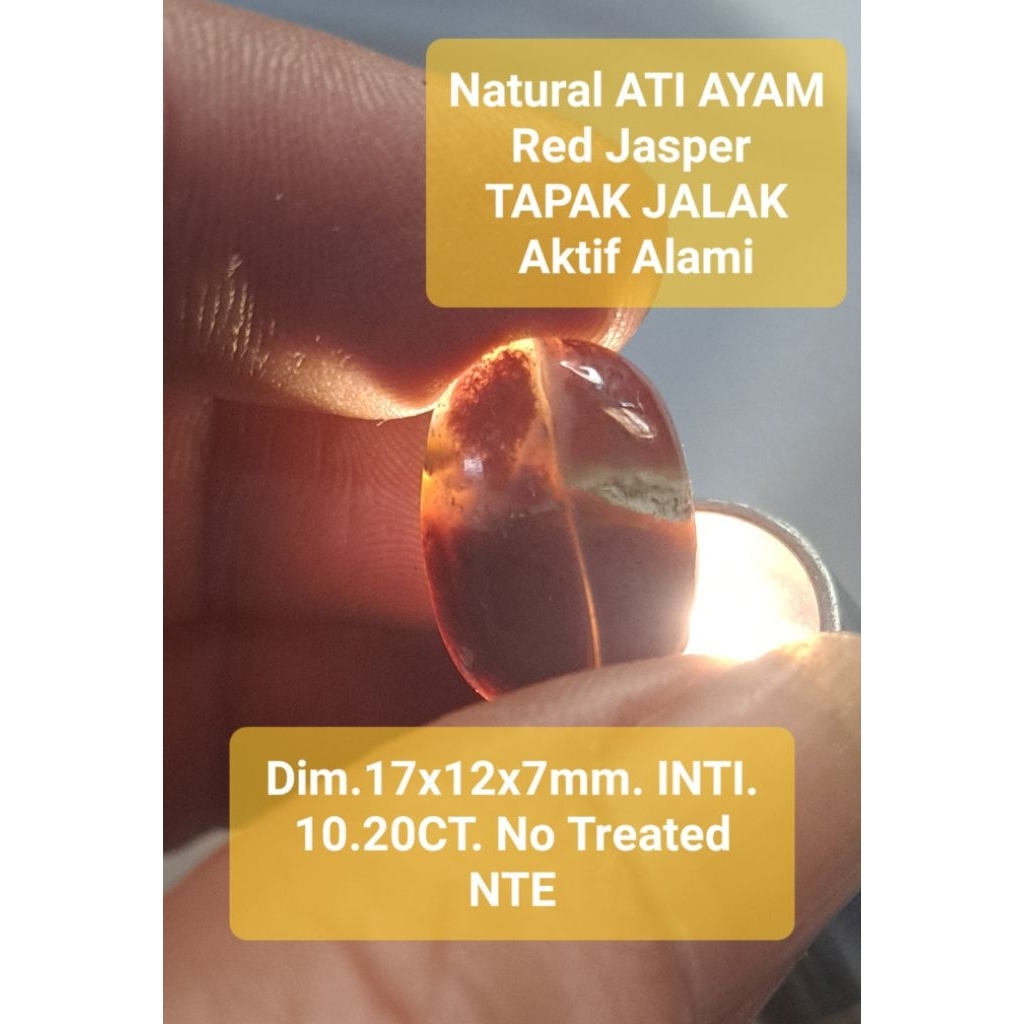 Natural Ati Ayam Tapak Jalak RED JASPER Aktif Alami | Batu Lawasan Vintage Natural Alam Bo0ster | Ci