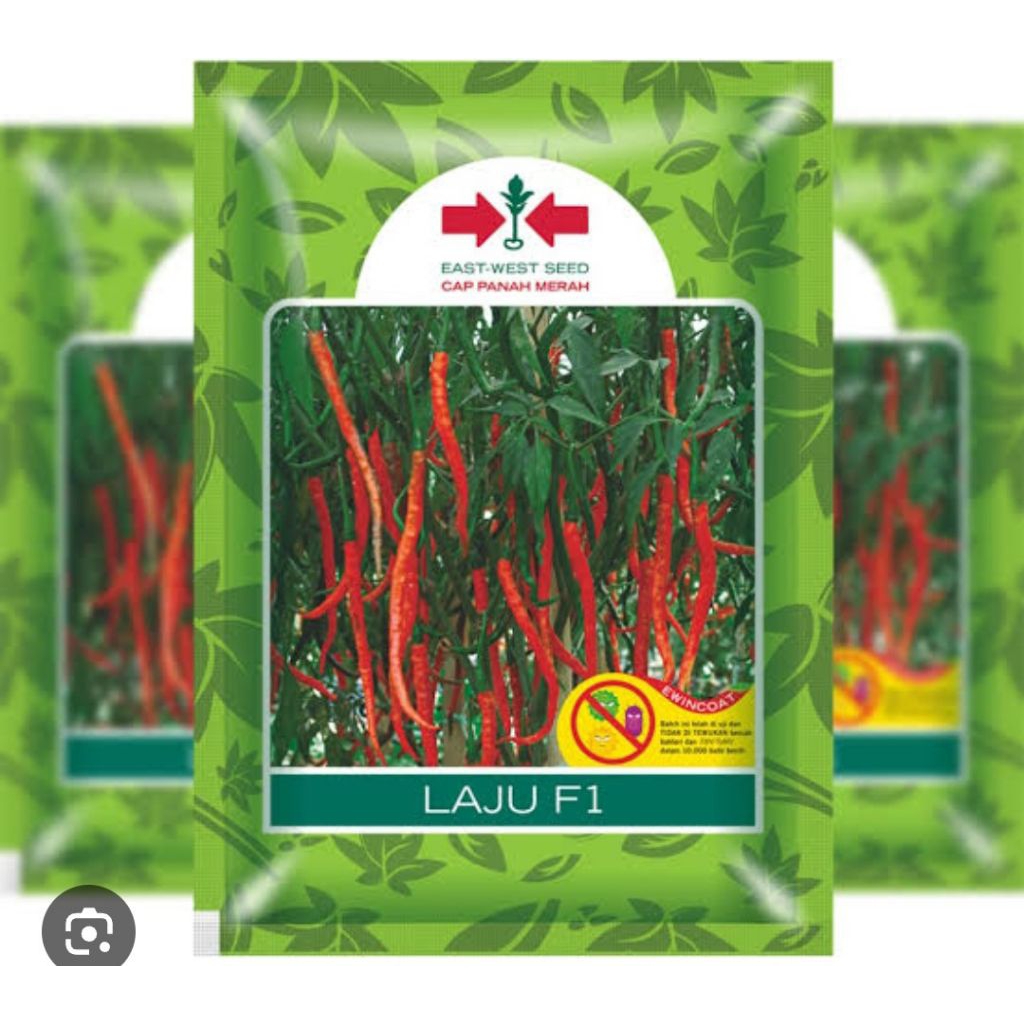 benih bibit cabe keriting LAJU F1 1750 BUTIR