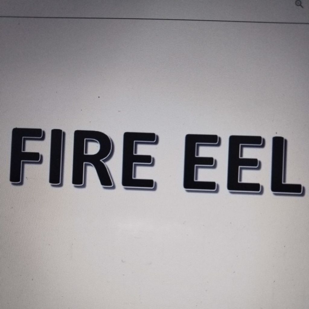 Fire Eel / Sili Api / Mastacembelus Erythrotaenia - 20 - 50 CM