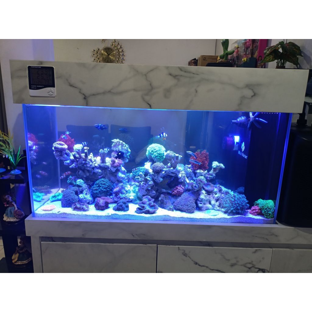 Paket Aquarium 1Meter Full Set Up