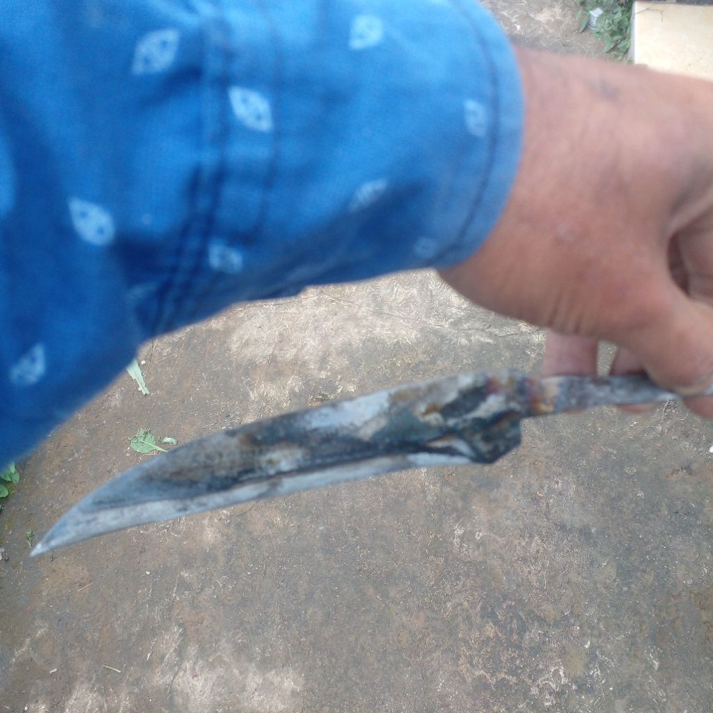 pisau kuku macan unik