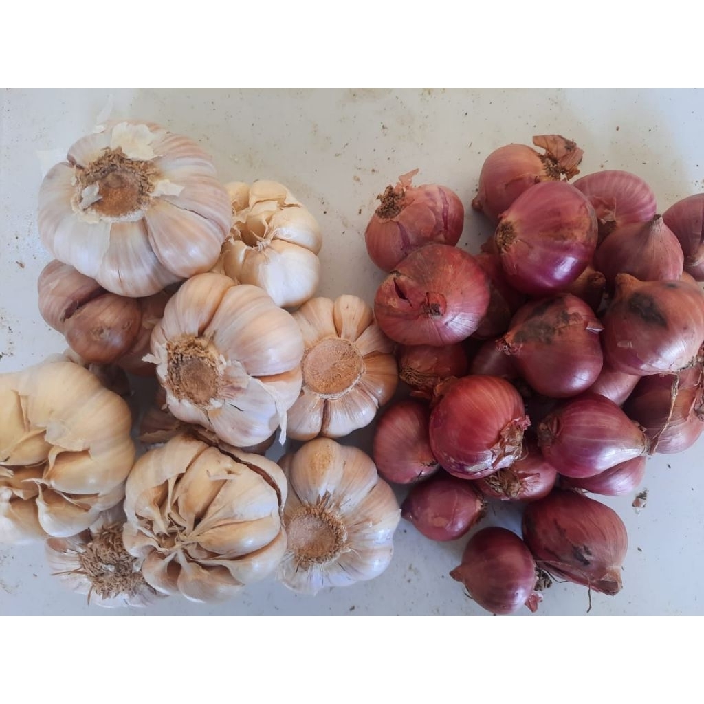 CAMPUR BAWANG PUTIH BAWANG MERAH 1KG
