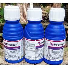 Insektisida Pegasus 80ml