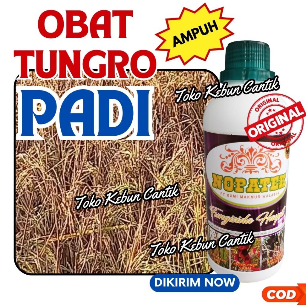 Obat Tungro Padi Terbaru NOPATEK 500ml Fungisida Hayati Organik