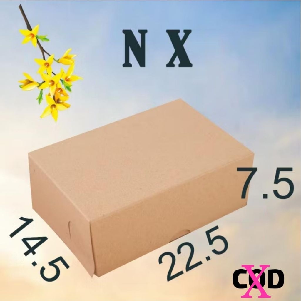NX 350 BKraft  22,5x14,5 isi 50 lmbr Dus/Kardus/Kerdus/Dos Nasi Makanan Kue Roti TDK BS COD