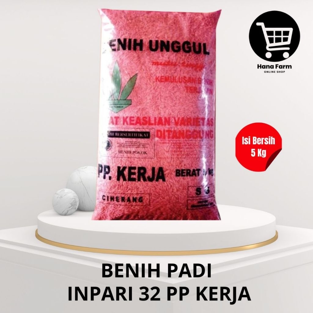 Benih Padi CIHERANG PP KERJA 5 Kg