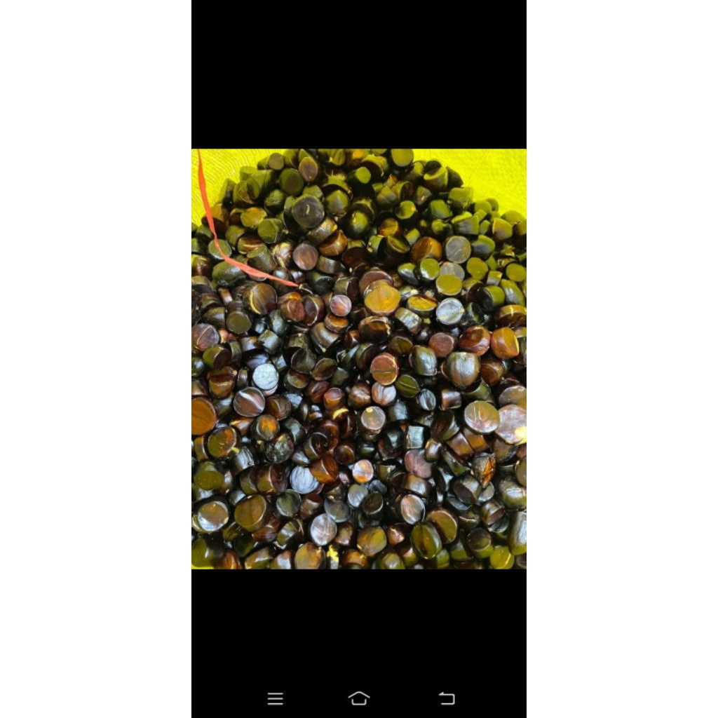 Kabau / Jaling Lampung lalapan (250gram)