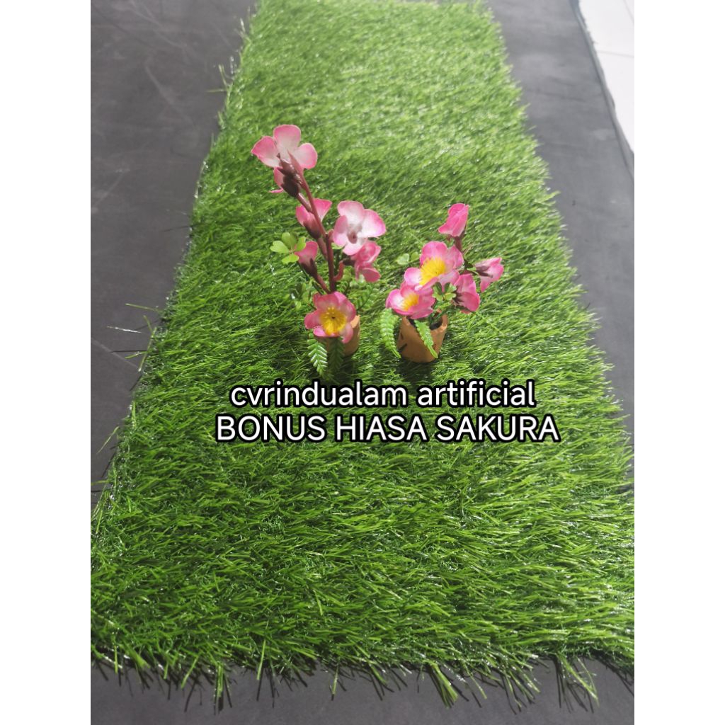 rumput aquarium ukuran 30 x 50