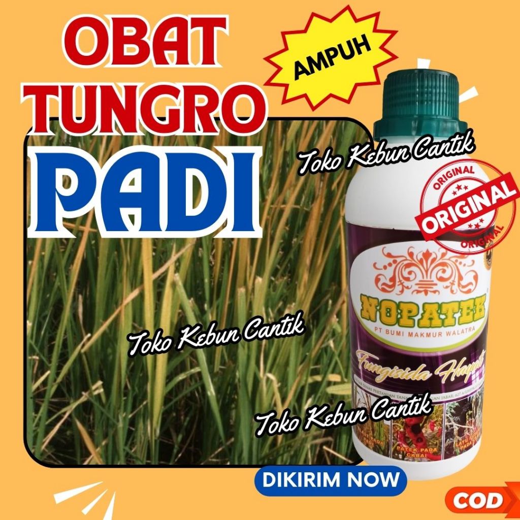 Fungisida Hayati Padi Anti Blast NOPATEK 500ml