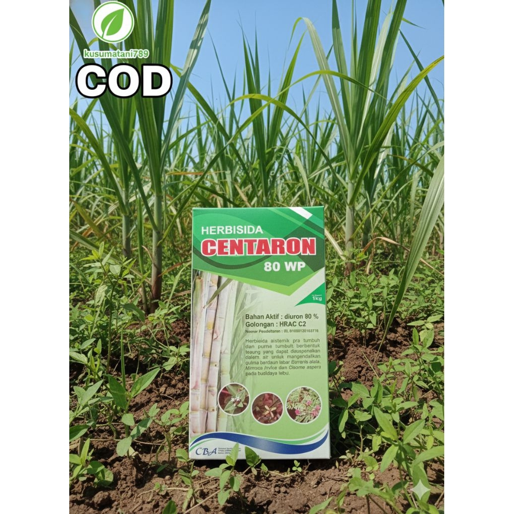 Racun Rumput Gulma Ampuh Tebu & Padi | Herbisida Pra Tumbuh Centaron 80 WP