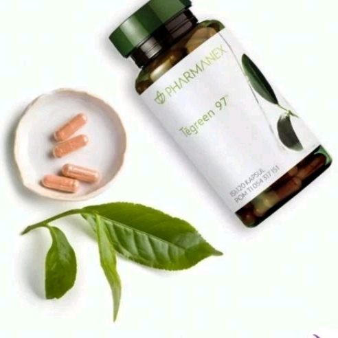 tegreen97 120kapsul expired 2026