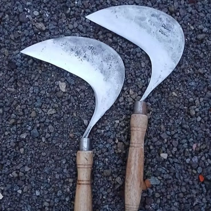 Sabit/Arit Rumput 100% full baja per asli Original,Super Tajam Kuat & Tahan Lama Gagang kayu sonokel