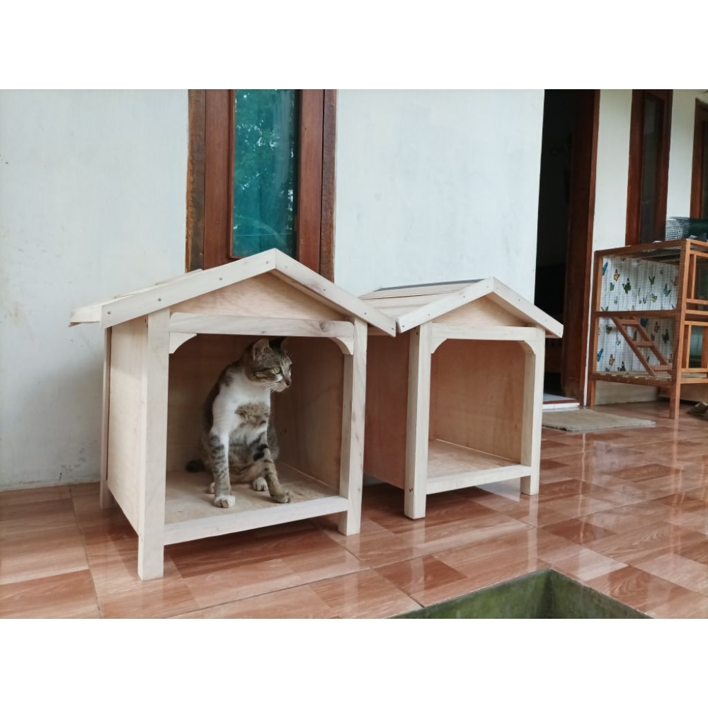 Kandang kucing kayu murah indoor dan outdoor