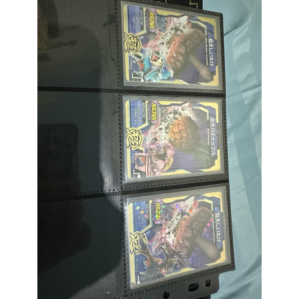 animal kaiser take all miracle gold japan