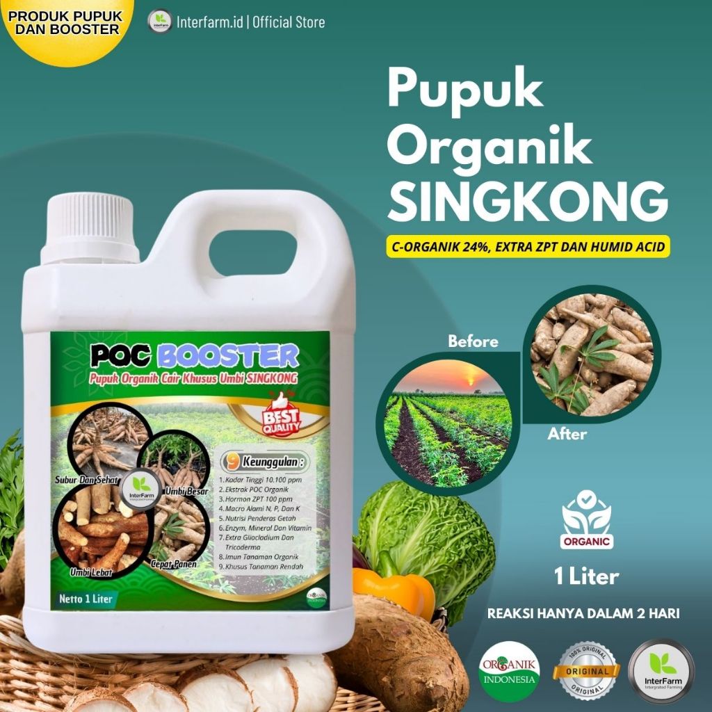 Pupuk pelebat Umbi singkong , Pupuk untuk tanaman singkong, BOOSTER cair organik untuk INTERFARM