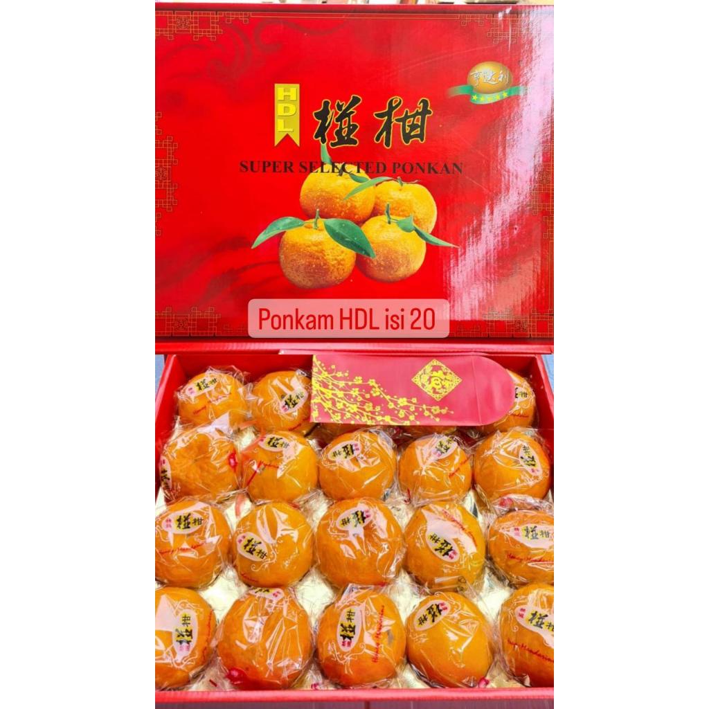 Jeruk Ponkam HDL Size 20