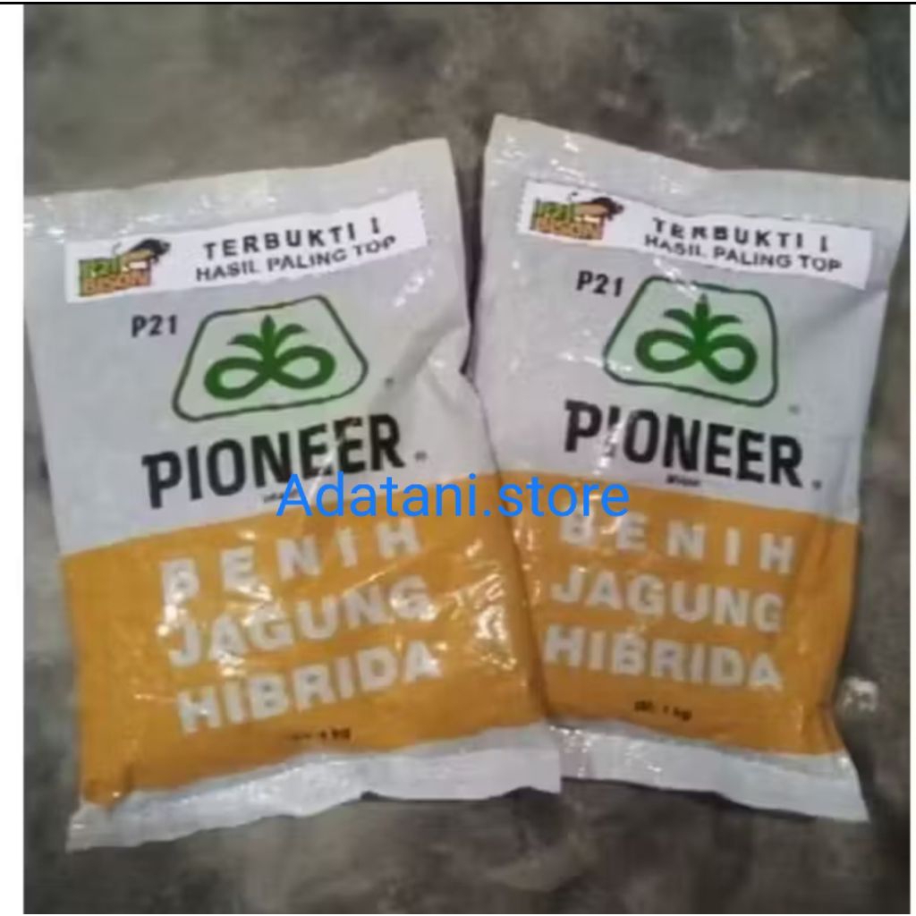 Benih jagung Pioneer P21 kemasan ecer polos 1kg