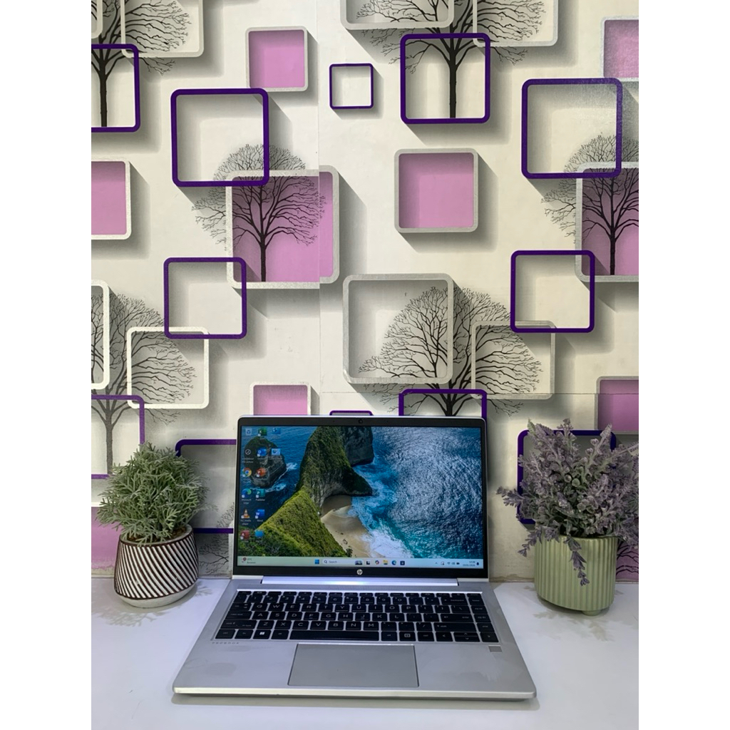 Hp Probook 445 G8 ( second)  AMD Ryzen 5 5600U