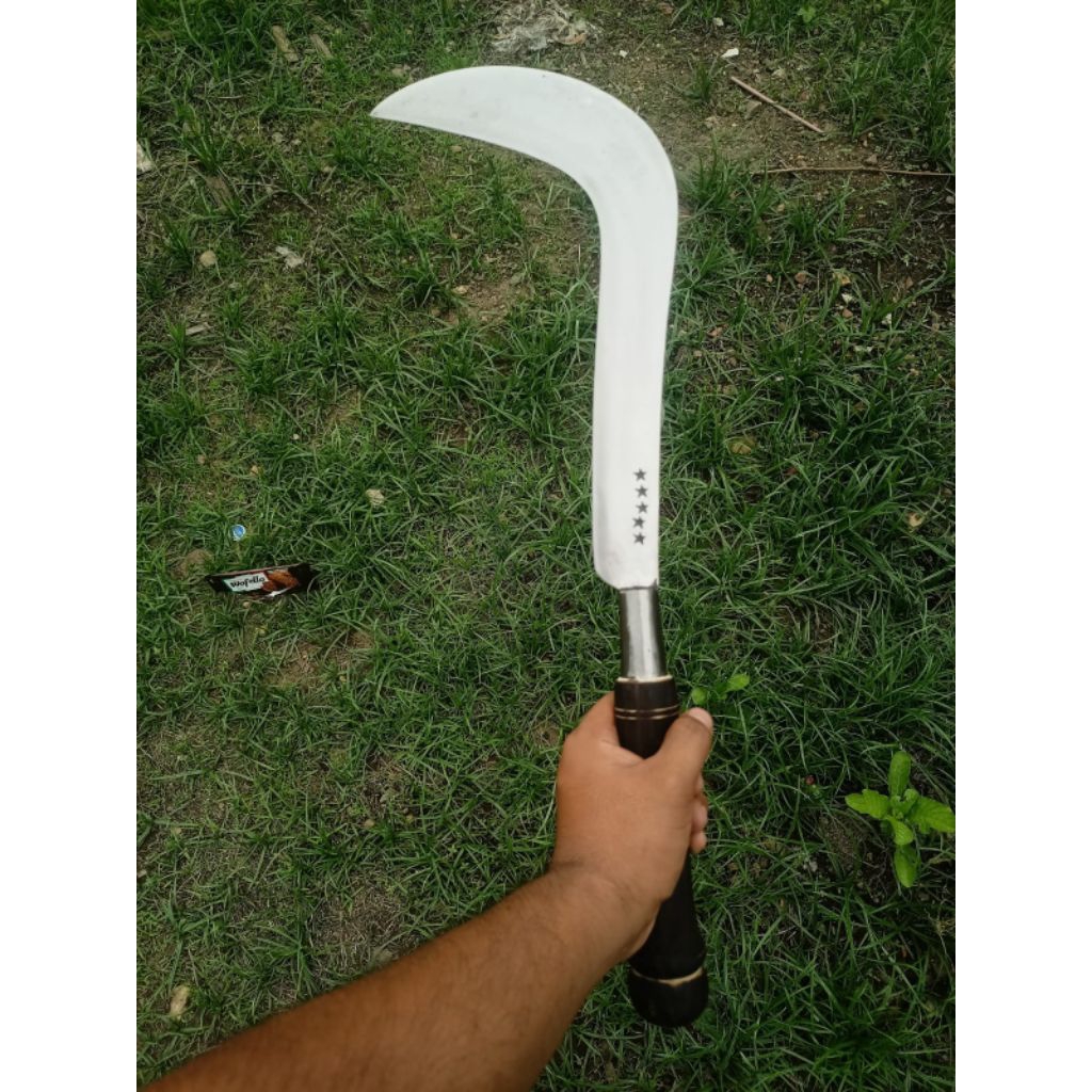 sabit ranting dan rumput gajah