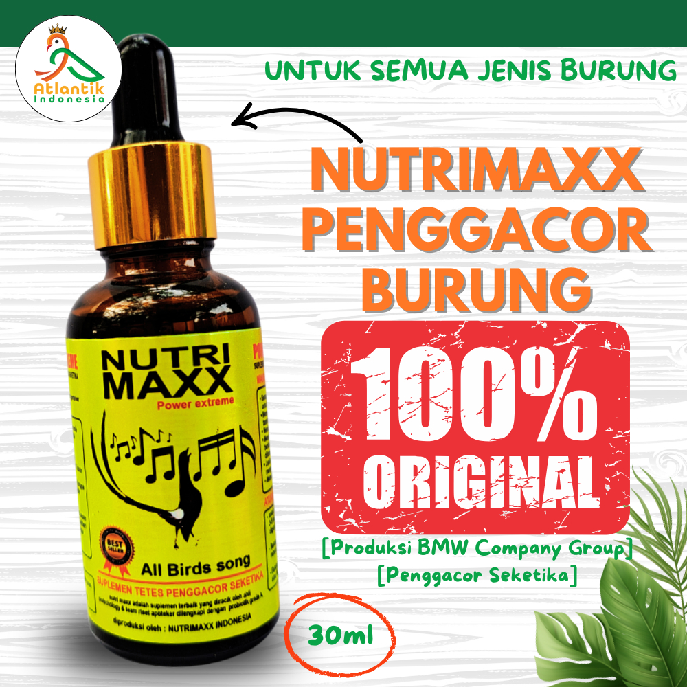 Nutrimaxx Power Extreme Vitamin Burung Penggacor Burung Kicau Dengan Probiotik Grade A Aktif