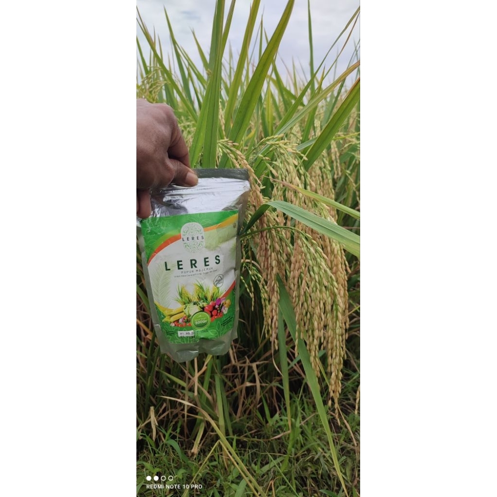 pupuk majemuk leres