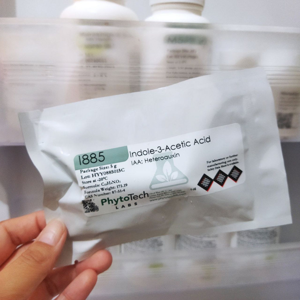 Hormon Auksin IAA | 3-Indolacetic Acid | Hormon Kultur Jaringan Tanaman