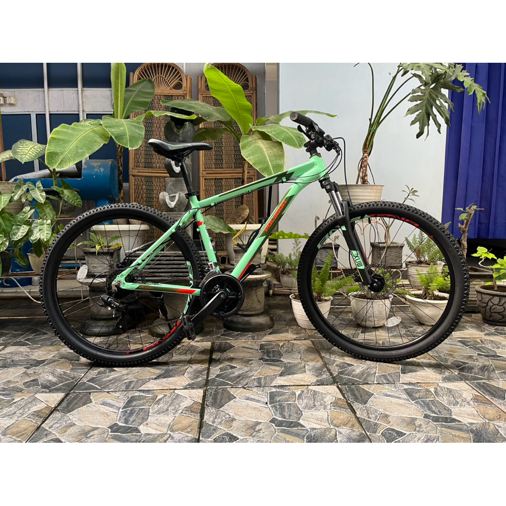 POLYGON CASCADE 4 2021