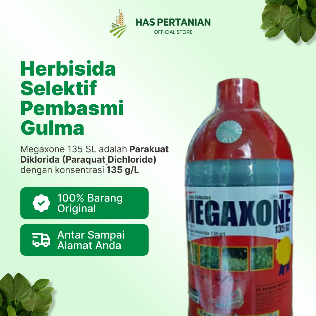 Pembasmi Rumput Megaxone | Ampuh dalam 48 jam - 1 Liter