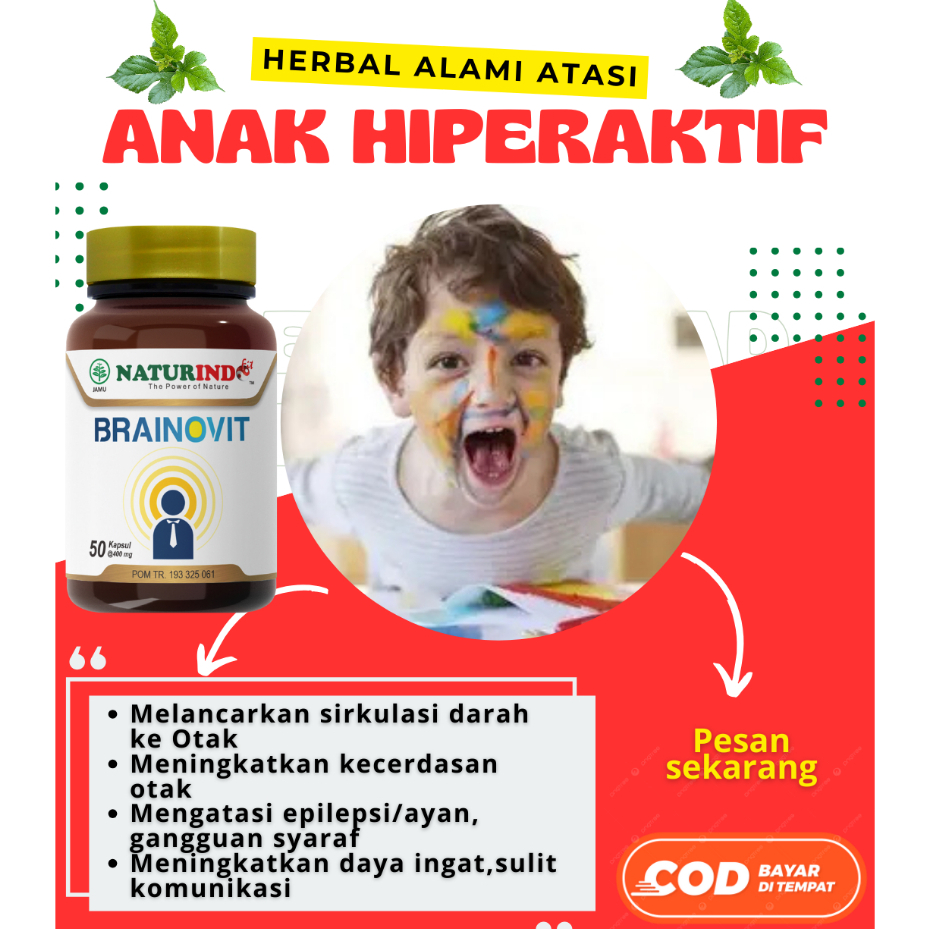 BRAINOVIT Obat Herbal Anak Hiperaktif Antidepresan Alami Meningkatkan Konsentrasi 50 Kapsul