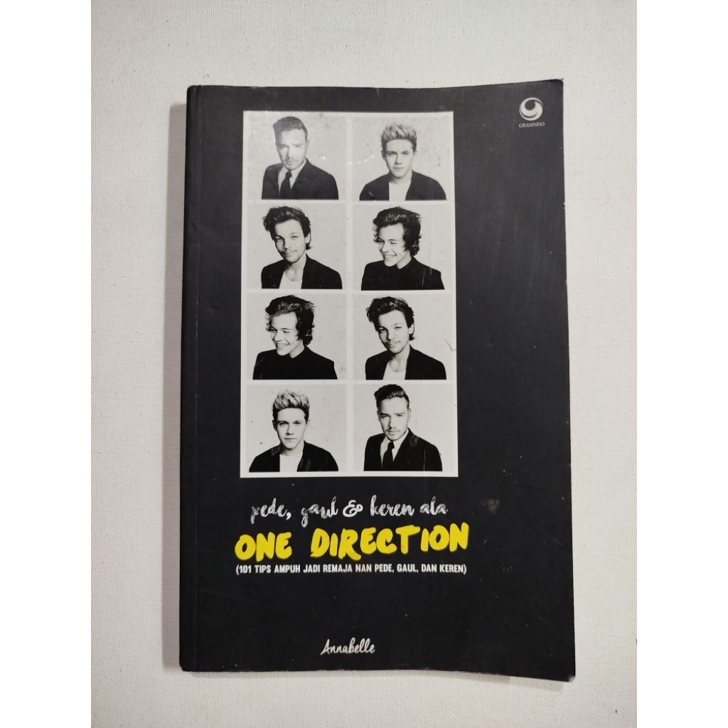 BUKU ONE DIRECTION