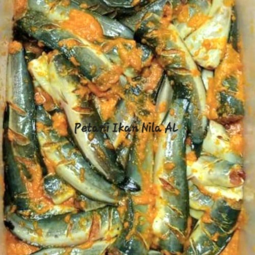 ikan lele bumbu kuning segar siap goreng 500 gram