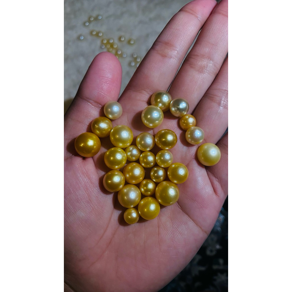 Mutiara Laut warna gold