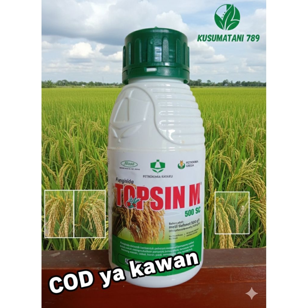 Obat Blas Padi Busuk Leher Daun Berjamur Kresek – Topsin M 500 SC