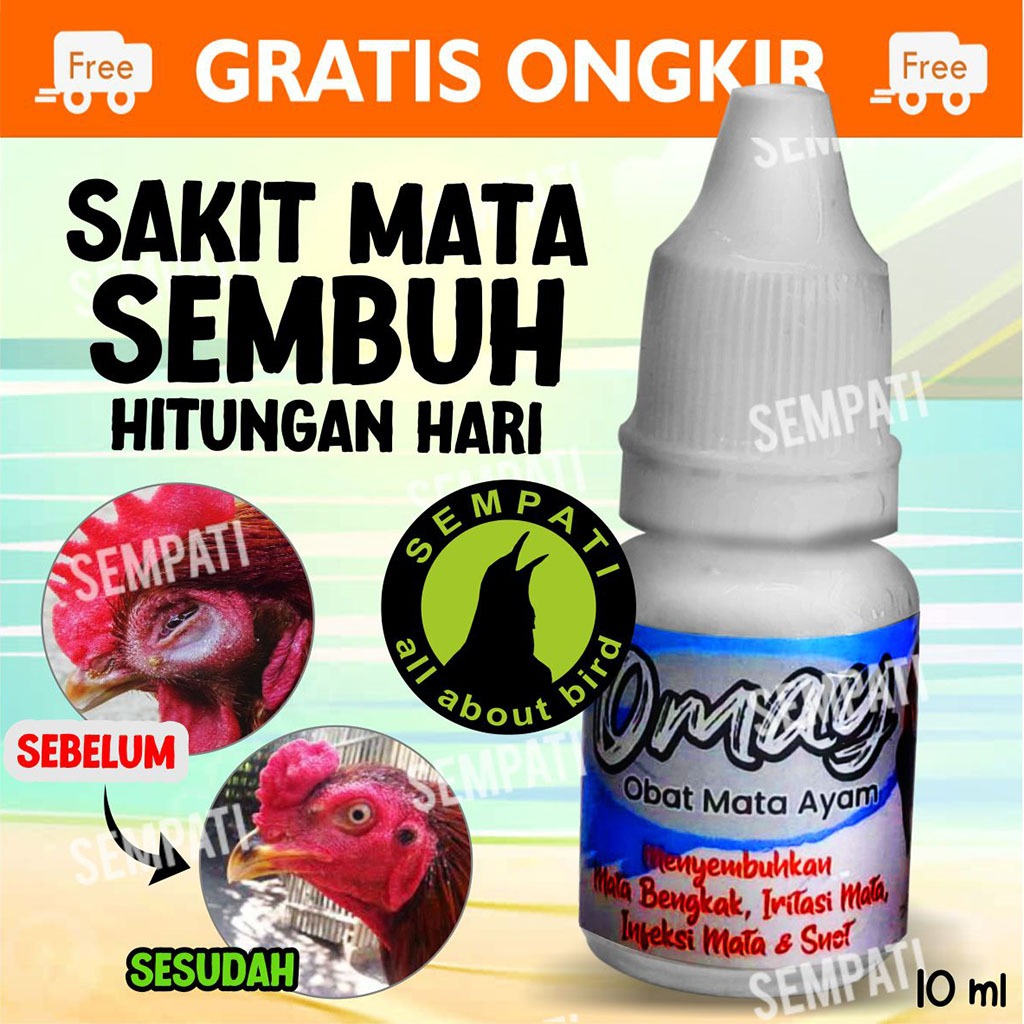 SEMPATI Omay Obat Sakit Mata Ayam 10ml Obat Tetes Mata Ayam Jago Laga Aduan Petarung Jantan Bangkok 