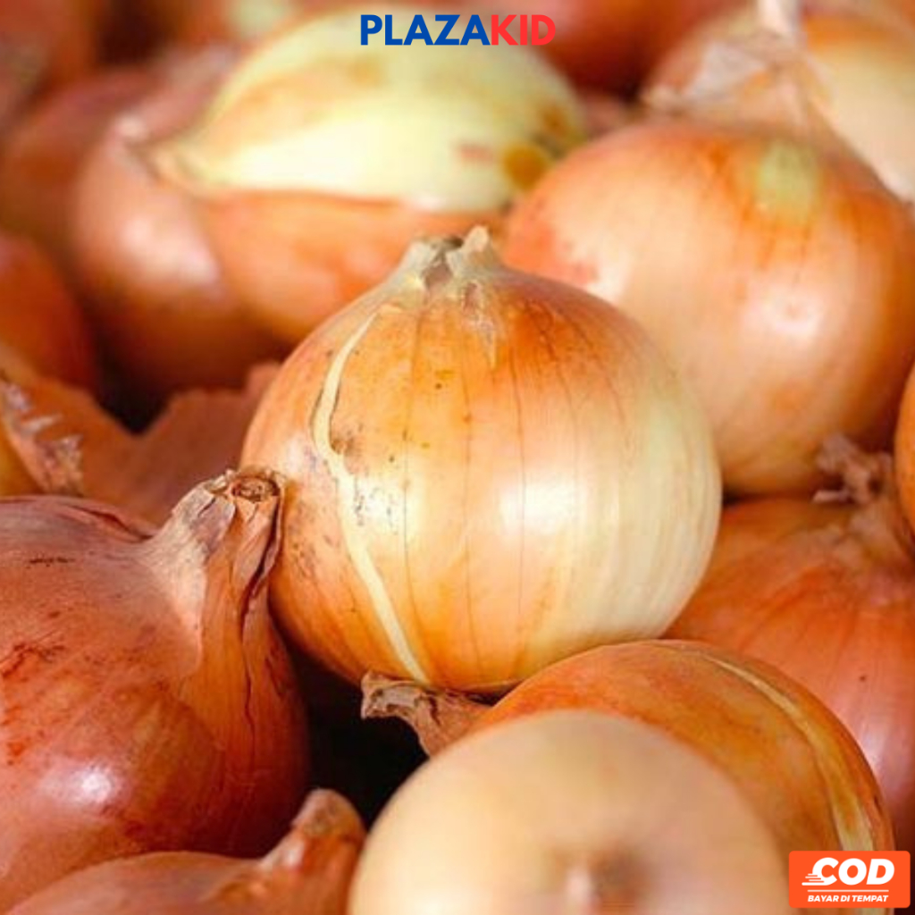 Bawang Bombay Bersih / Bawang Bombay Berkualitas 1 Kg