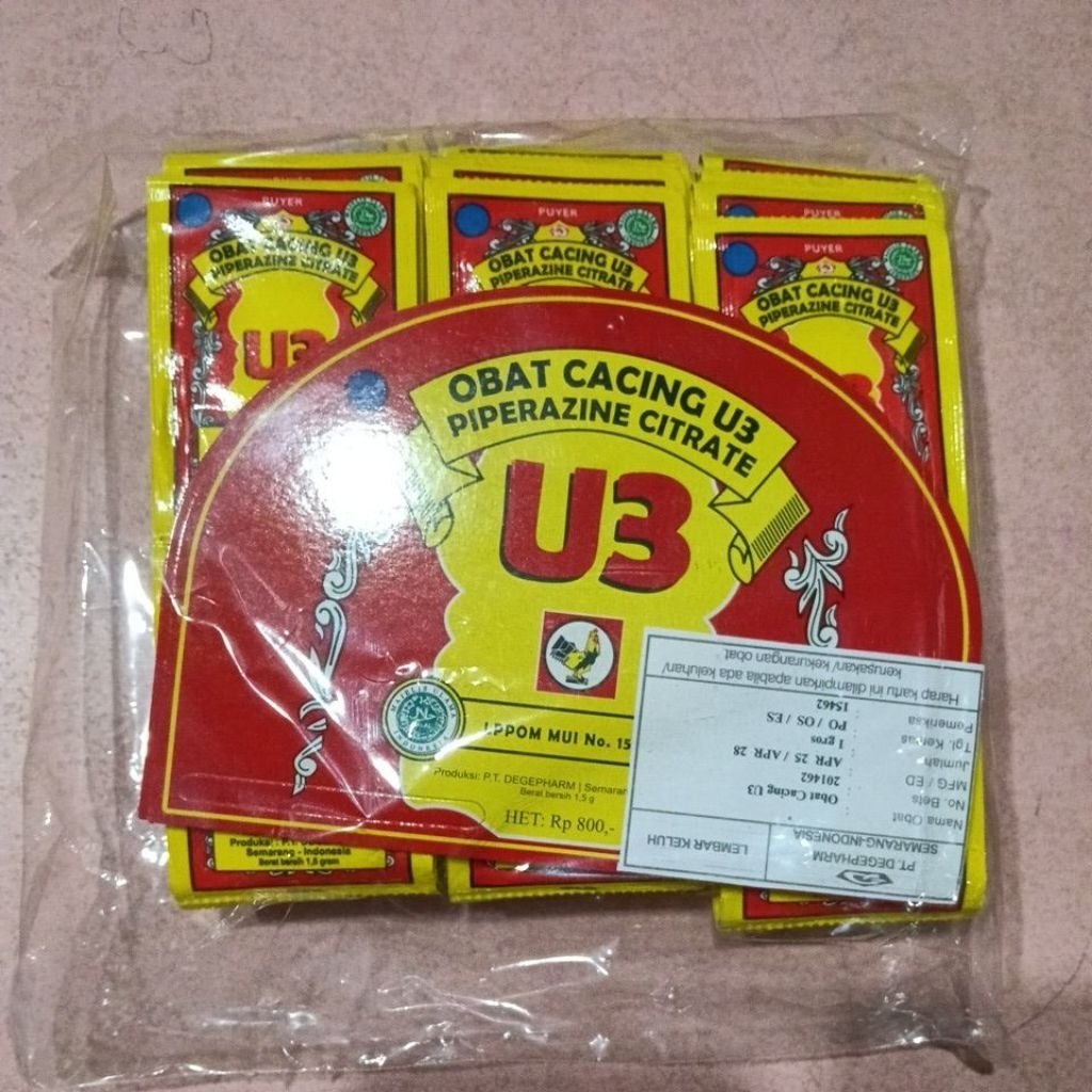 Obat Cacing puyer U3 1 Gross/ pack