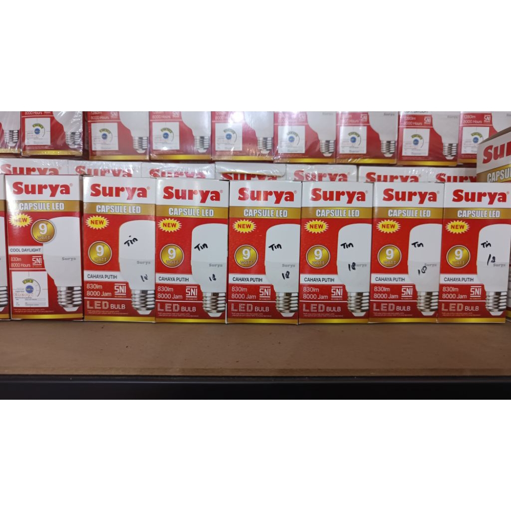 Lampu Surya Capsule 9watt