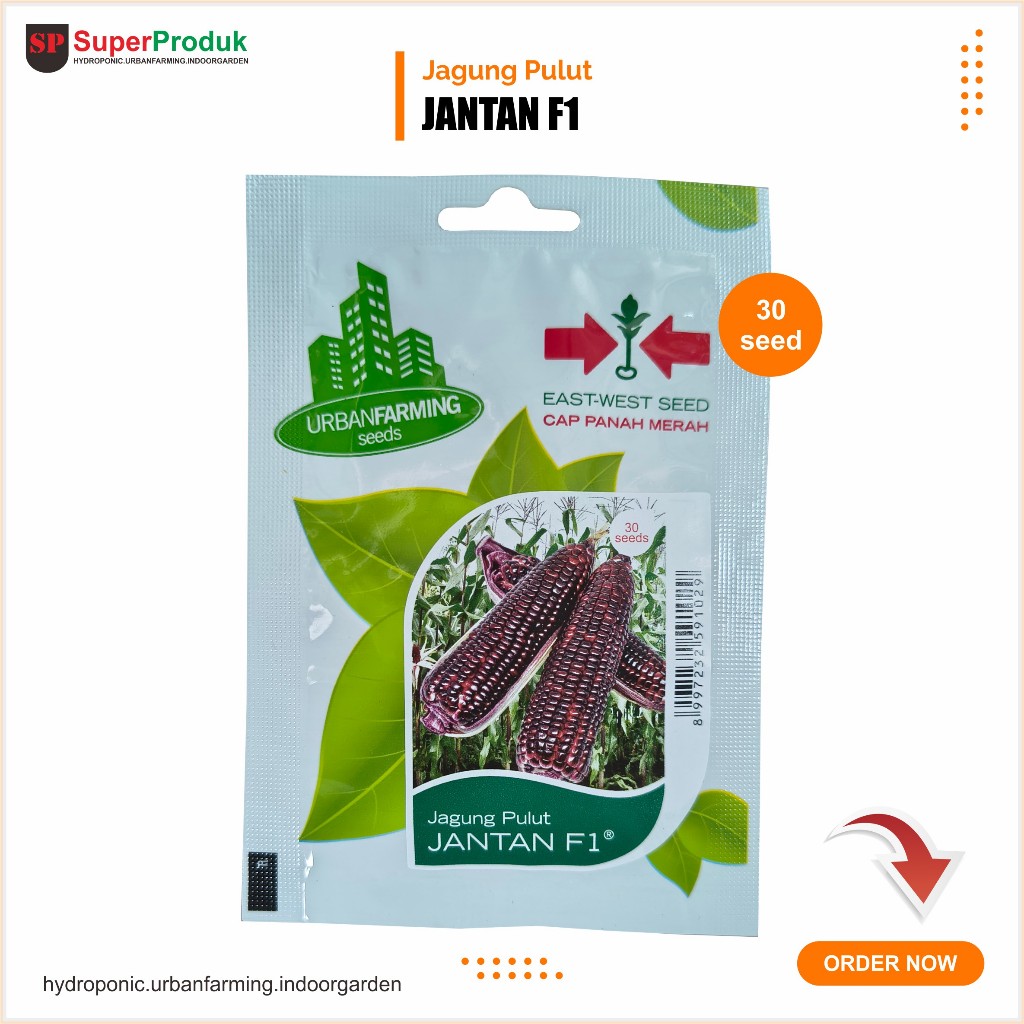 Benih Jagung Pulut Jantan Panah Merah 30 seed