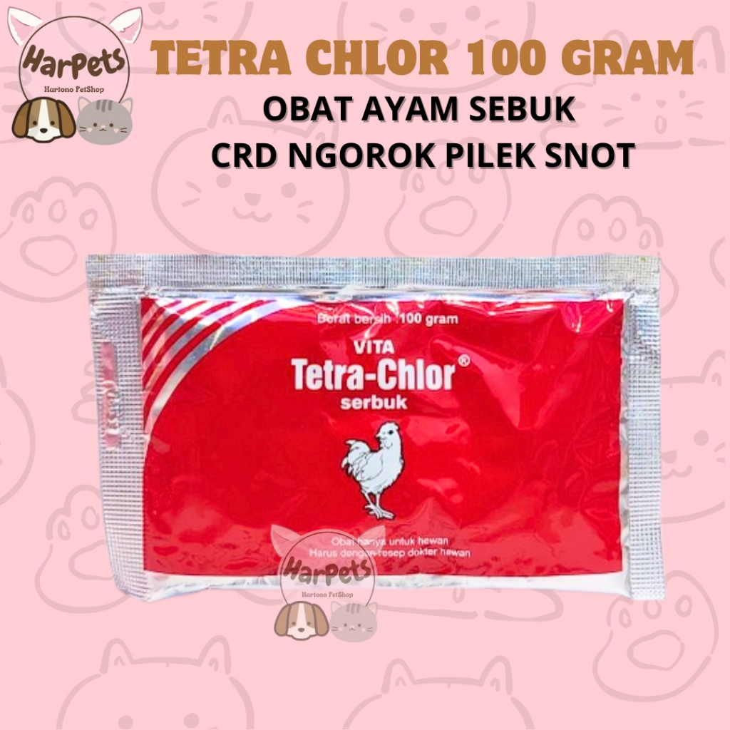 TETRA CHLOR 100GRAM - tetrachlor obat ayam dan burung Snot pilek berak kapur ngorok berak hijaumuka 