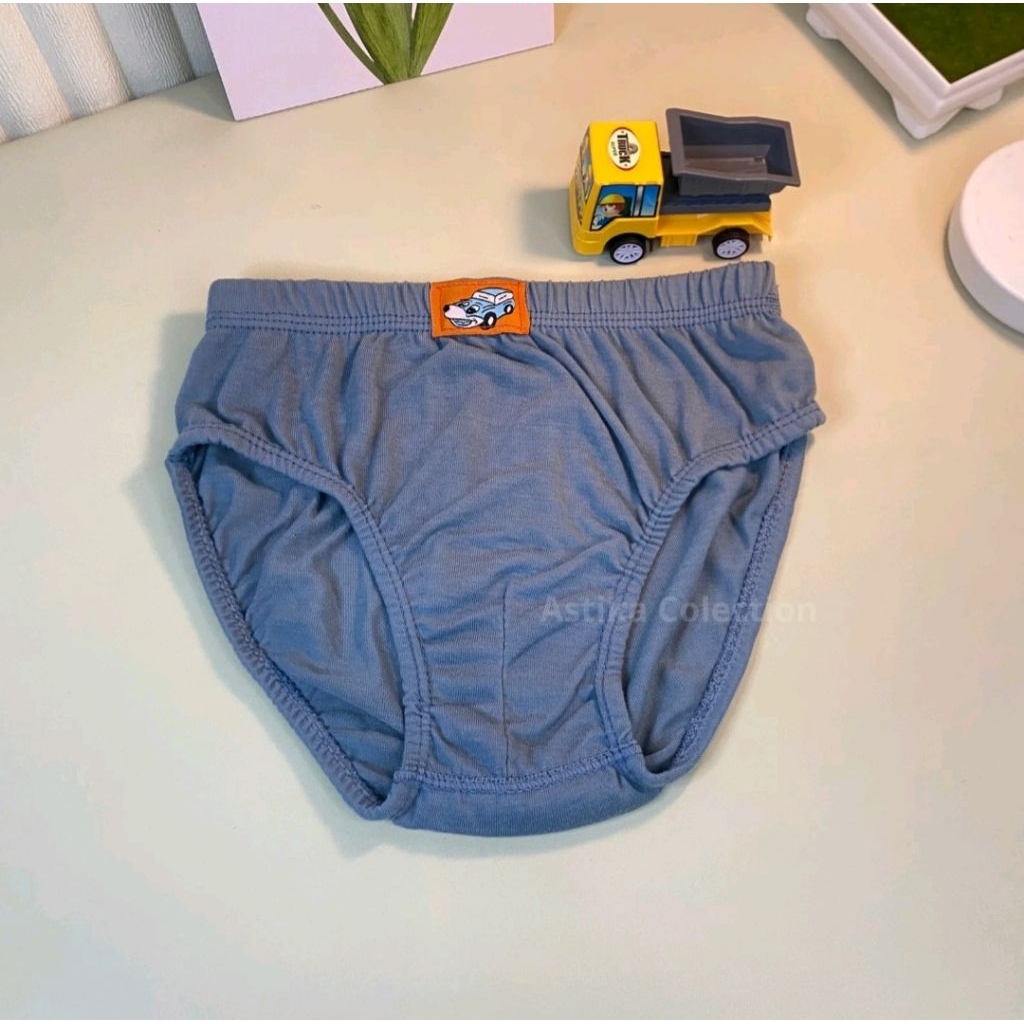 12 pcs celana dalam anak laki laki