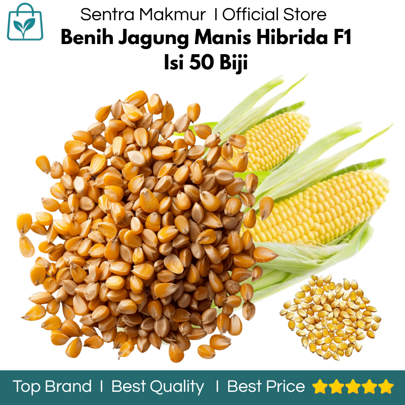 Benih Jagung Hibrida F1 Isi 50 Biji - Benih Jagung Manis Hidrida - Benih Jagung Manis Madu - Benih J