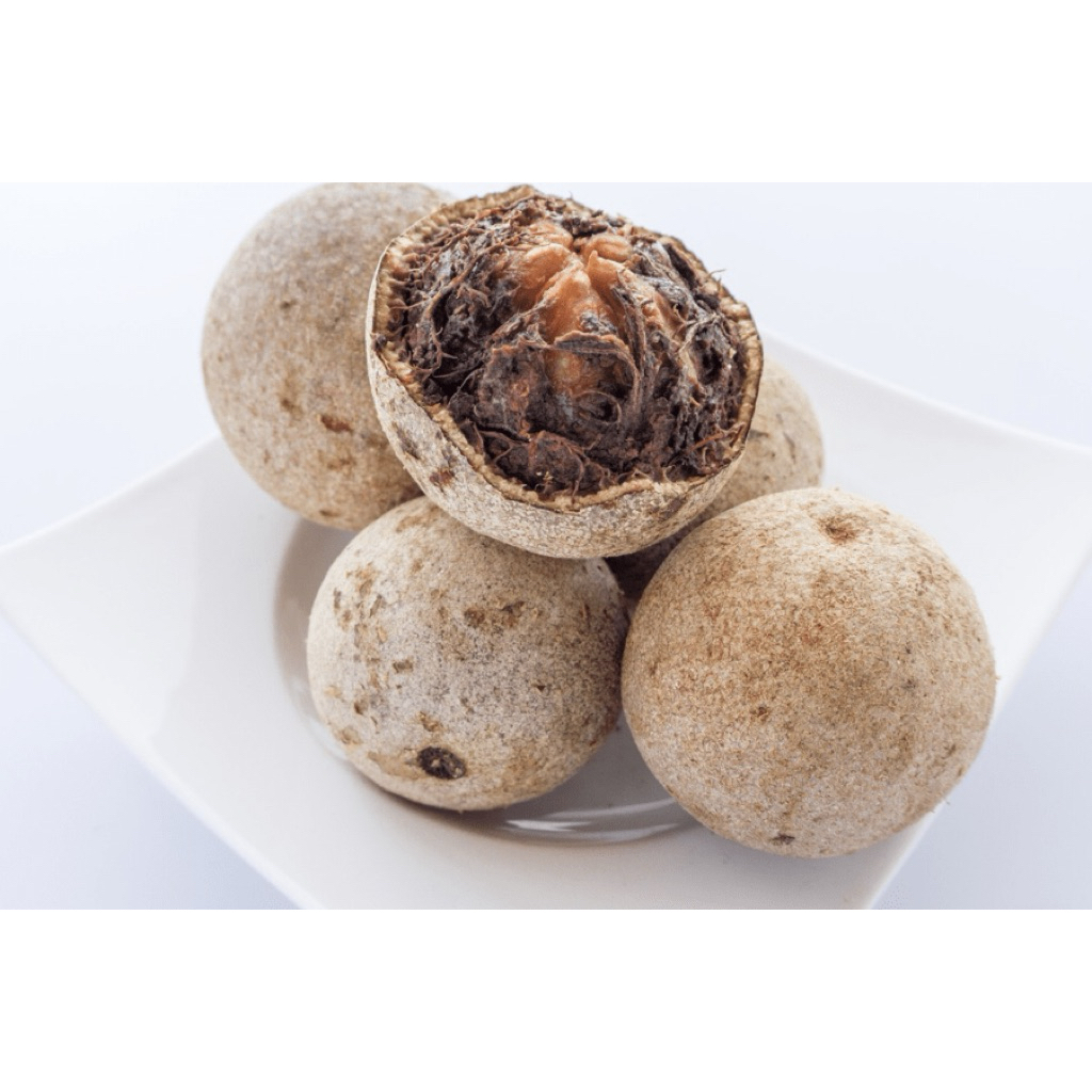 bonsai bahan kawista