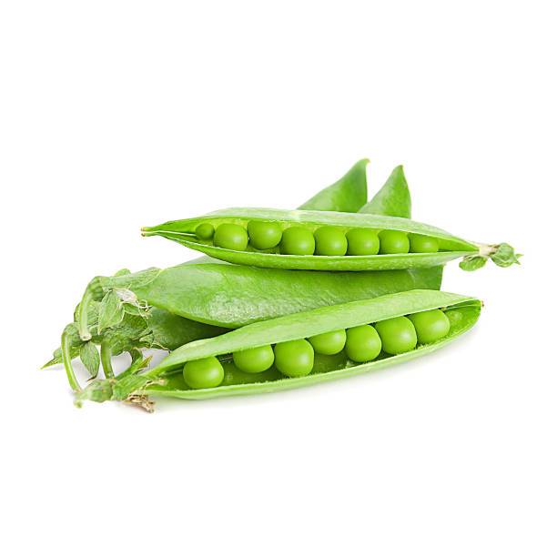 TABUR BENIH KACANG POLONG