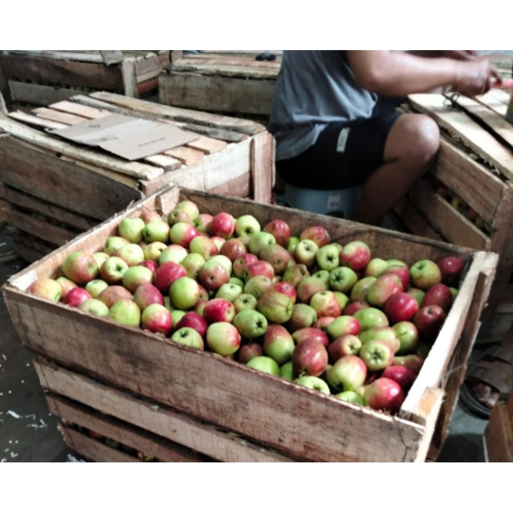 Apel Anna malang 1kg - Rasa Asam Manis, Tekstur Empuk, Segar Langsung Dari Petik