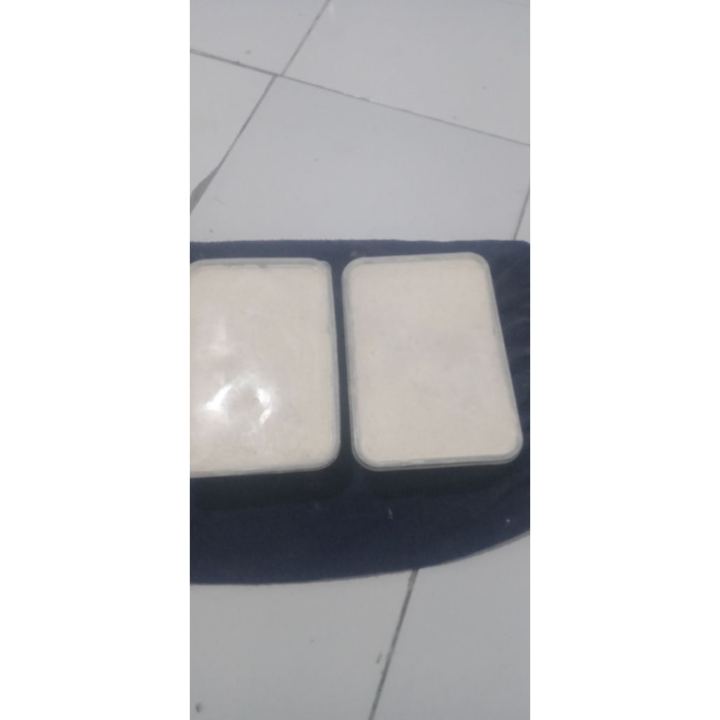 umpan belanak siap pakai